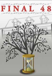 Последние 48 часов